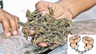 12 கிலே கஞ்சா பறிமுதல்: வடமாநில ஆசாமி கைது