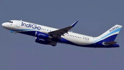 சென்னையிலிருந்து புறப்பட்ட இண்டிகோ விமானத்தின் அவசர கால கதவை திறக்க முயன்ற ஐஐடி மாணவர்