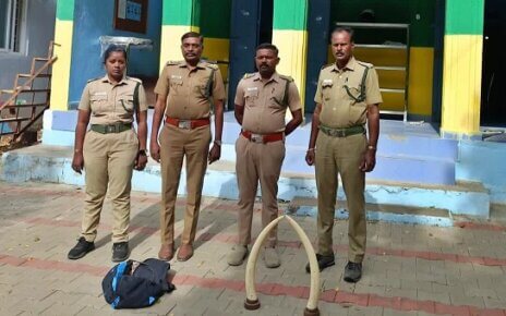 யானை தந்தத்தை விற்க முயன்ற 8 பேர் கைது