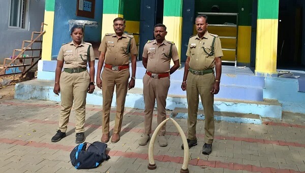 யானை தந்தத்தை விற்க முயன்ற 8 பேர் கைது