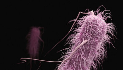 ஏ.ஐ. மூலம் பாக்டீரியாக்களை அழிக்கும் புரதம்: ஆஸ்திரேலிய விஞ்ஞானிகள் சாதனை