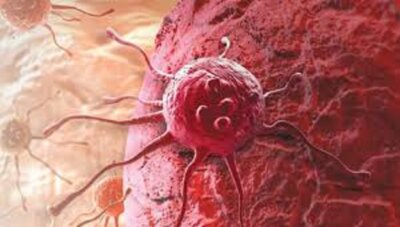 10வது ஆண்டில் டிஜிட்டல் இந்தியா: வரலாற்றுச் சிறப்புமிக்க நாள் என பிரதமர் மோடி பெருமிதம்