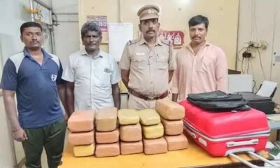 சென்னையில் 4 கிலோ கஞ்சா பறிமுதல்