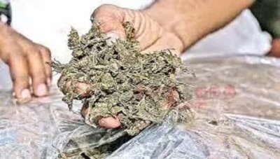 பூந்தமல்லி அருகே 10 கிலோ கஞ்சா பறிமுதல்: ஒருவர் கைது