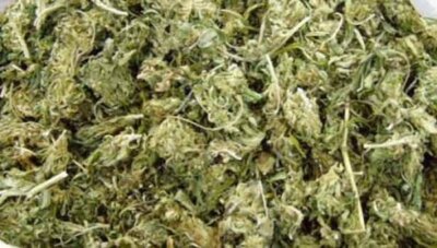 சென்ட்ரல் ரெயில் நிலையத்தில் 13 கிலோ கஞ்சா பறிமுதல்: கேரளா ஆசாமி கைது