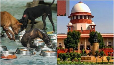 டெல்லியில் தெருநாய்களை காப்பகங்களில் அடைக்க தடை:  பிடித்த இடத்திலேயே விட சுப்ரீம் கோர்ட் உத்தரவு