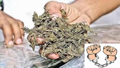 பூந்தமல்லியில் 21 கிலோ கஞ்சா கடத்தல்: 3 வடமாநில ஆசாமிகள் கைது