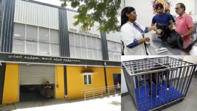 ஒரு மாதத்தில் 46 ஆயிரம் தெருநாய்களுக்கு ரேபிஸ் தடுப்பூசி: சென்னை மாநகராட்சி தகவல்