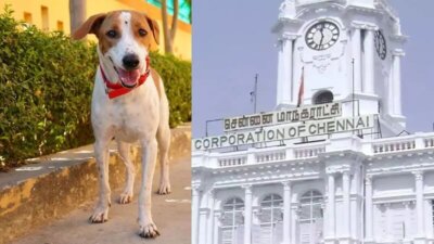 அடுத்த மாதம் முதல் வளர்ப்பு நாய்களுக்கு ‘மைக்ரோ சிப்’ கட்டாயம்:- மீறினால் ரூ.3000 வரை அபராதம்