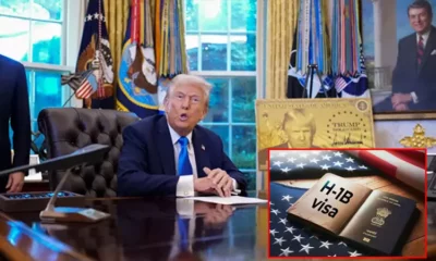 எச்1 – பி விசாவுக்கு இனி ரூ.88 லட்சம் கட்டணம்: டிரம்ப் அதிரடி