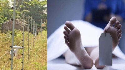 முயல் வேட்டைக்கு சென்ற 2 பேர் மின்வேலியில் சிக்கி உயிரிழப்பு