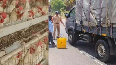 கோவை மாவட்டத்தில் 12 இடங்களில் சோதனைச்சாவடி அமைத்து கண்காணிப்பு