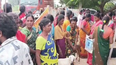 மீஞ்சூர் ஒன்றியத்தில் 75 பழங்குடி குடும்பத்தினருக்கு தலா 4 வெள்ளை ஆடுகள்