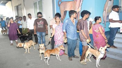 சென்னை மாநகராட்சியில் இது வரை 57,626 செல்லப் பிராணிகளுக்கு உரிமம்