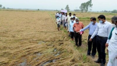 புயல், மழையால் பாதிக்கப்பட்ட விவசாயிகளுக்கு உரிய நிவாரணம்: தமிழக அரசு நடவடிக்கை