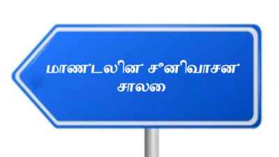 சிறுகதை … மாண்டலின் சீனிவாசன் சாலை …. ராஜா செல்லமுத்து